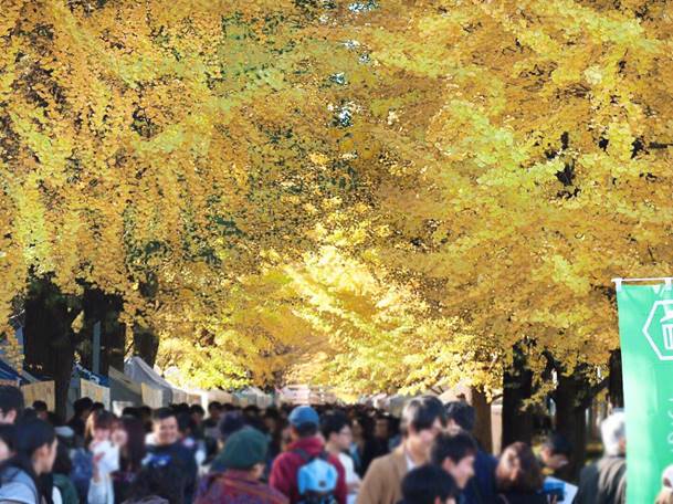 【11/23(月・祝)「駒場祭」】東大ダーツサークルの配信を実施します!